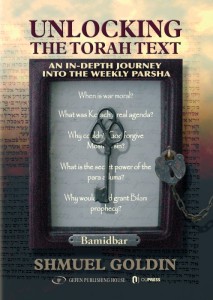 Unlocking the Torah Text - Bamidbar